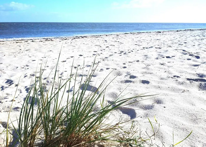 Διαμέρισμα 48 1 M Seestern *